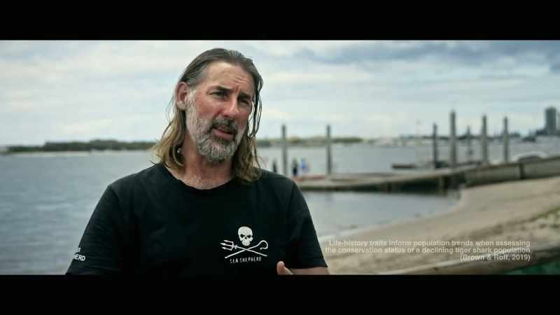 We know that tiger sharks on the Queensland coast
