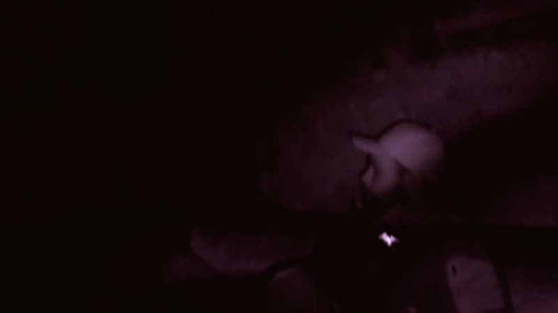 We literally have footage of something covering light