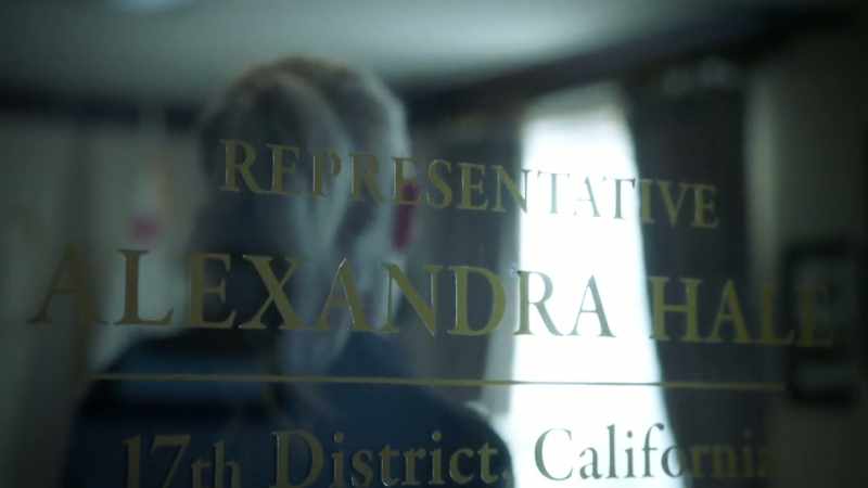 We looked into the FBI's Sophe investigation