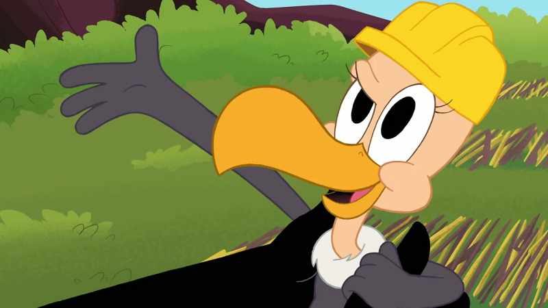 We Looney Builders always get the job done!