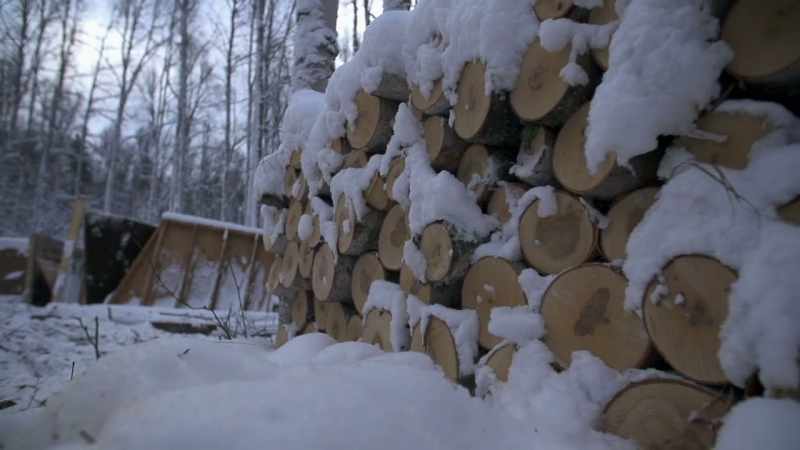 We made a transition into early winter