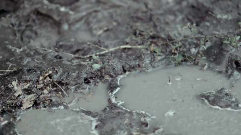 We had made plans to go out there, to dig up the body