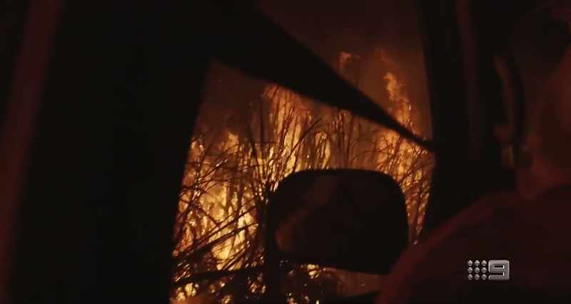 We managed to get them through