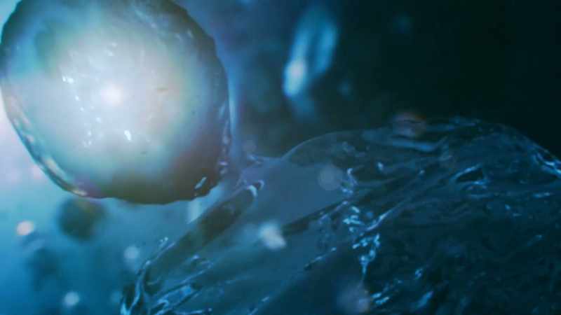 We may have had other types of lifeforms that came and went