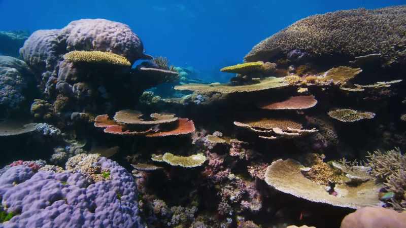 We may not know what the future hold for our seas