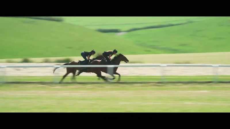 We might have up to 20 running at Ascot