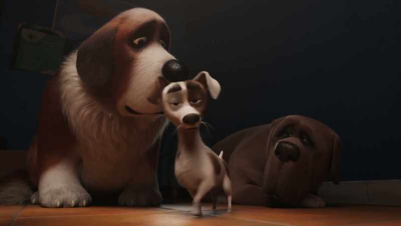 We need a real plan B, Bernard. Follow me