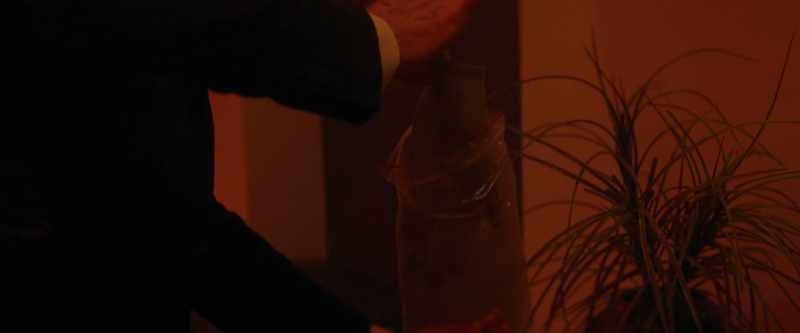 We need all the fingers and the palms intact
