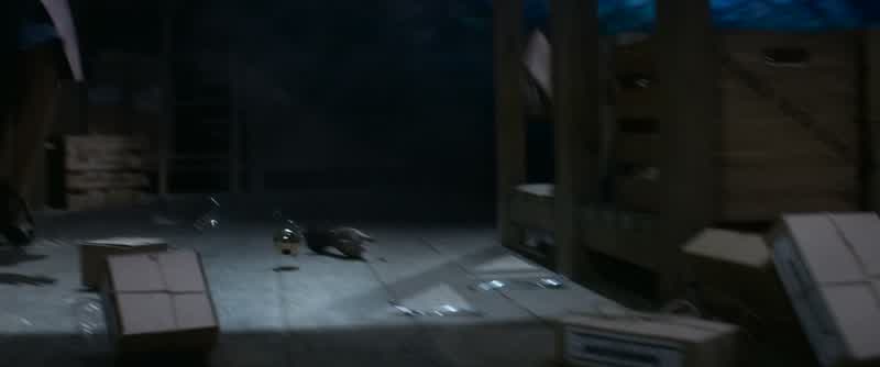 We need an insect!