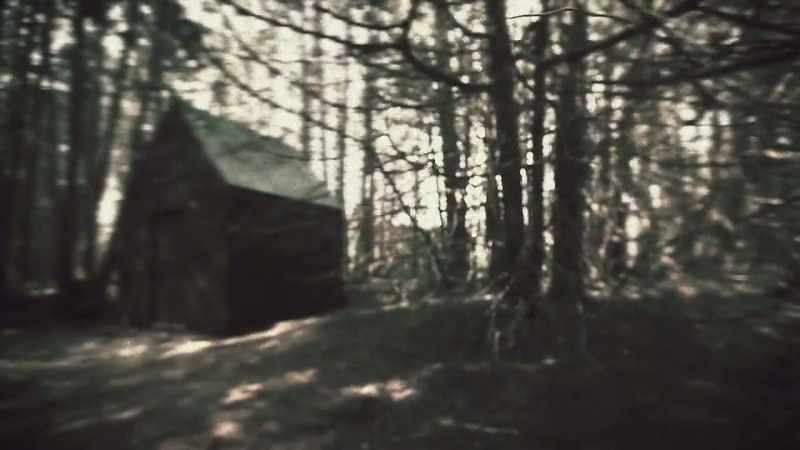 We need to get into that cabin
