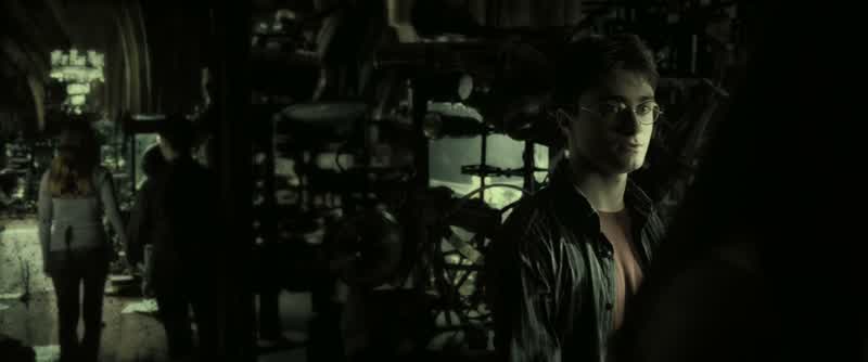 We need to hide the Half-Blood Prince's book......where no one will ever find it, including you