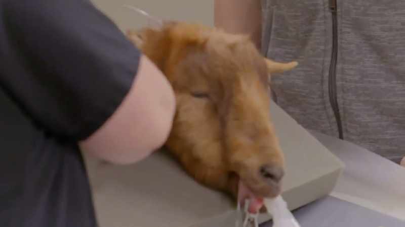 We need to make sure that she is safely sedated