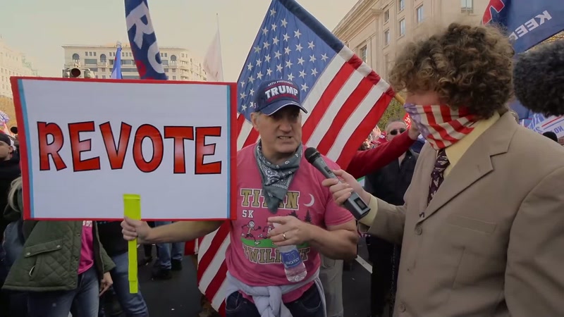 We need to revote in all seven swing states