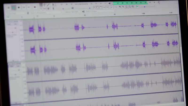 We need to scour these recordings