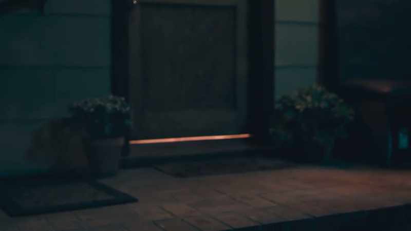 We never found out how he was entering