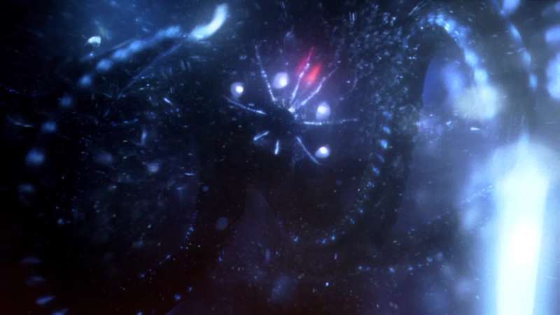 We now know that our universe