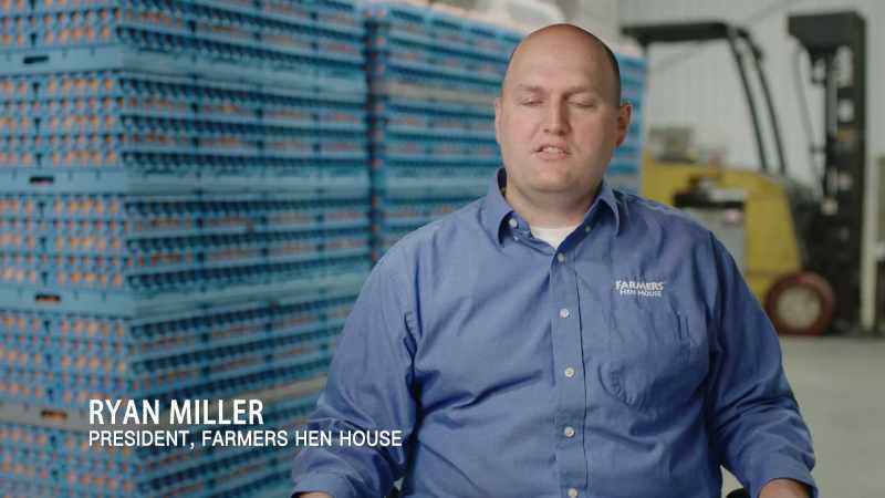 We process anywhere from 900,000 to a million eggs a day, which is a lot
