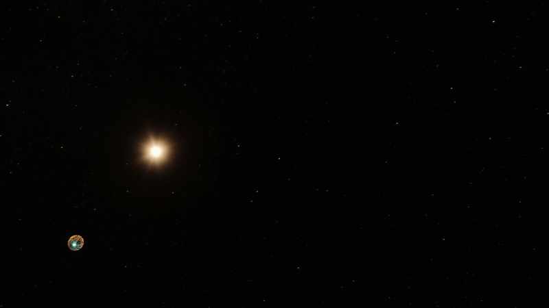 We reside in our star's habitable zone