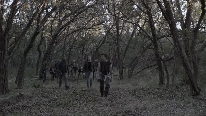 We saw them here a few weeks ago. They had weapons, uniforms