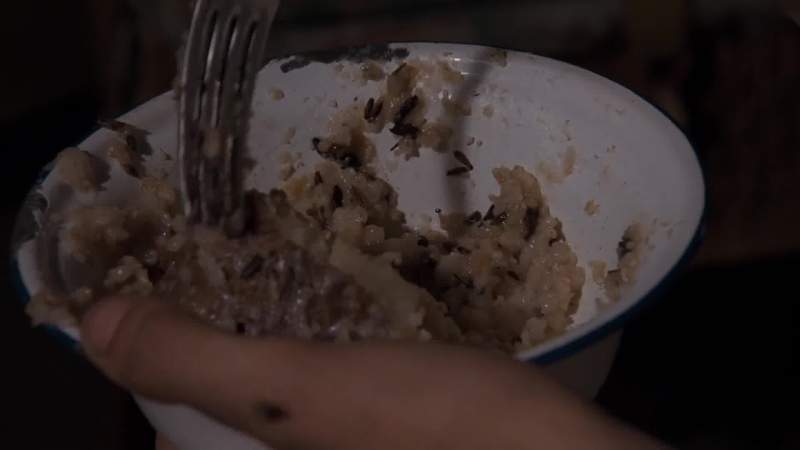 We should all eat the weevils