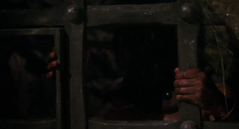We should never have followed that bitch in here