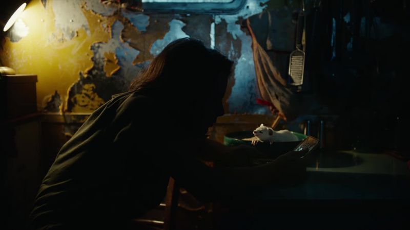 We should sleep. - With him gone? I can't sleep