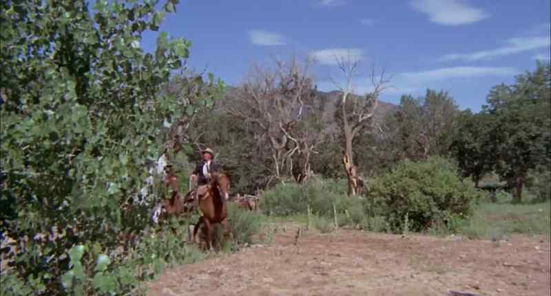 We should stop to water the horses? - We ain't stop until we get to Mexico