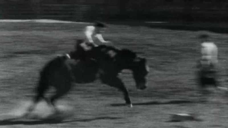We spent every weekend, growing up, going to rodeos