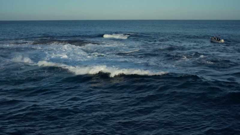 We started our research on the Nautilus