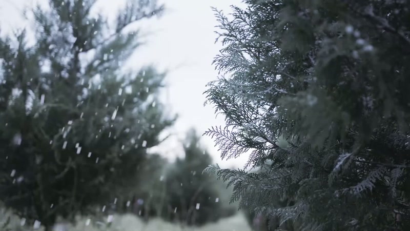 We started producing in Pine Valley farm products two years ago