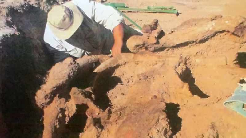 WE STARTED TO DIGGING, AND I FELT SOMETHING