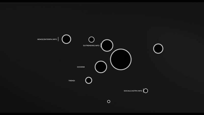 We stumbled onto something-- disinformation networks