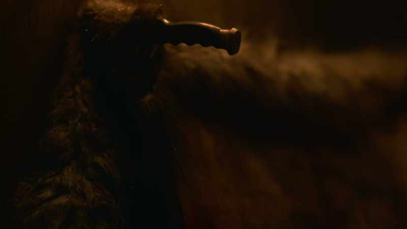 We were supposed to keep Silverback from bonding with anyone