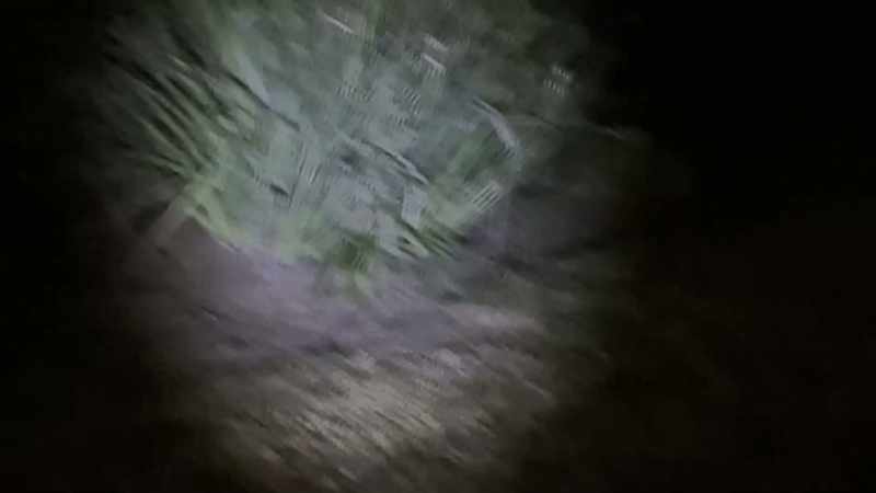 We suspect he's used his flashlight