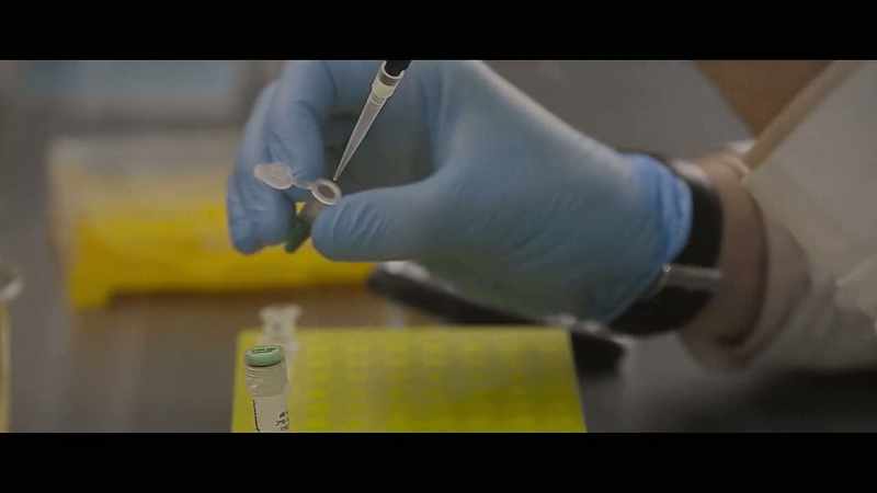 We test for 24 different areas on the DNA molecule