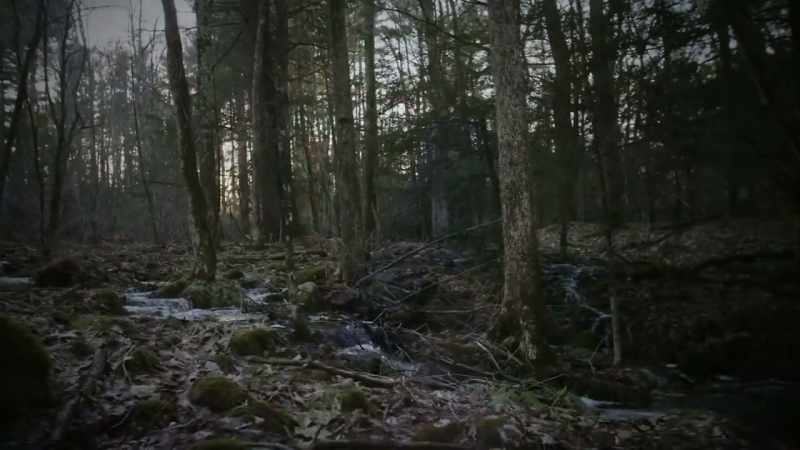 We think it's the property itself that's haunted