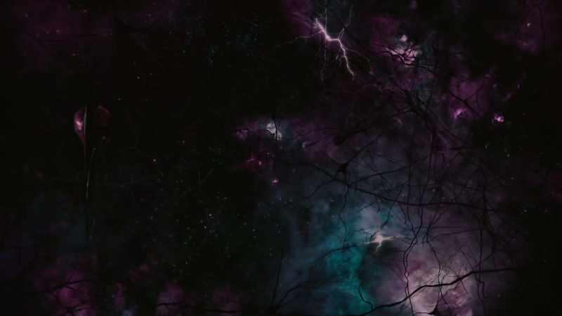 We think that the number of processing units in your brain
