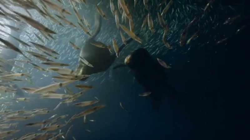 We, too, will be forced to change the seafood we eat
