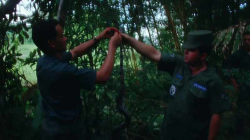 We trapped a snake that we skinned