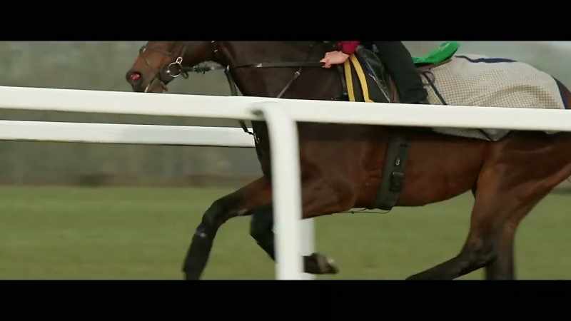 We use a system that fits around the horse's girth
