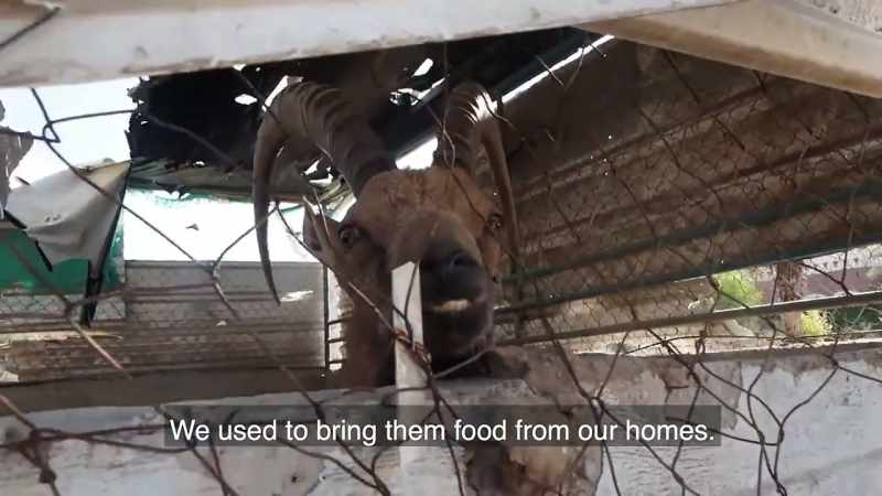 We used to bring them food from our homes