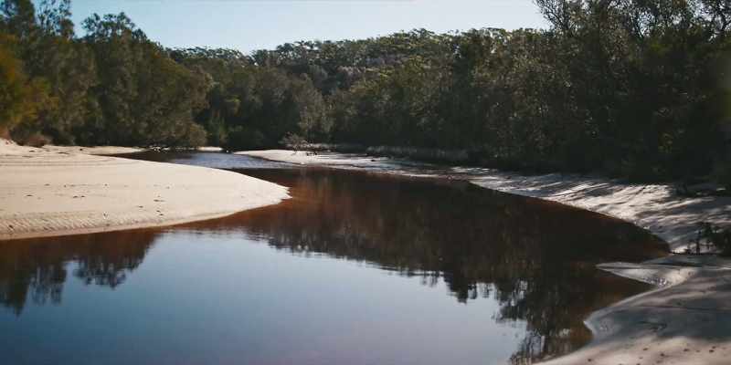 We used to swim there from daylight till dark