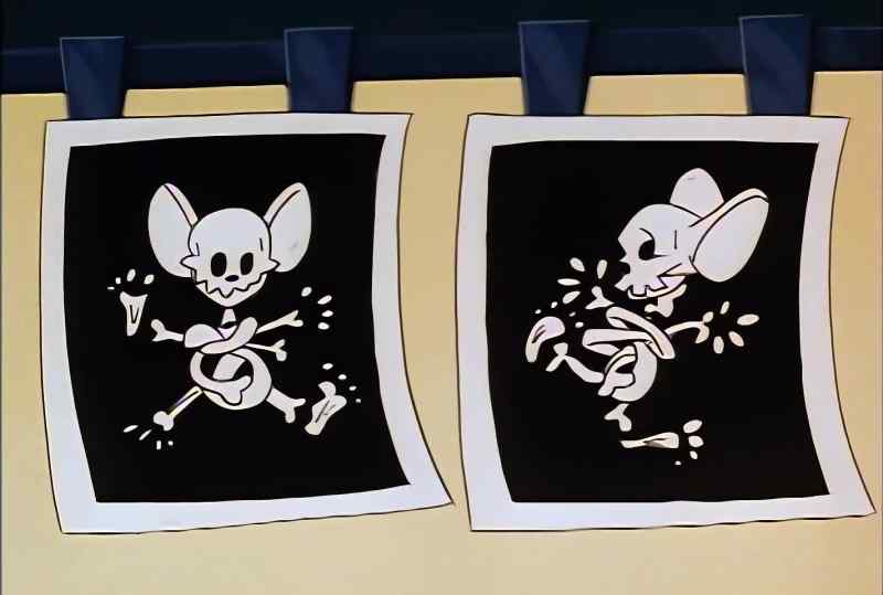 WE WERE A MOUSE AND A HAMSTER