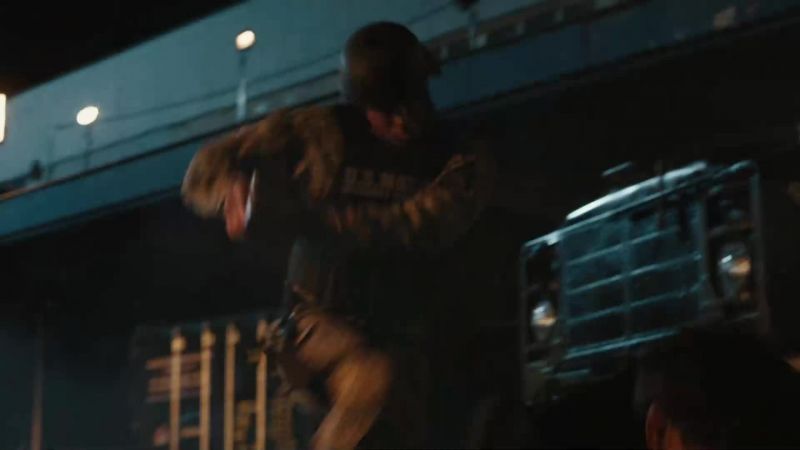 Weapons down! Let me see your hands now!