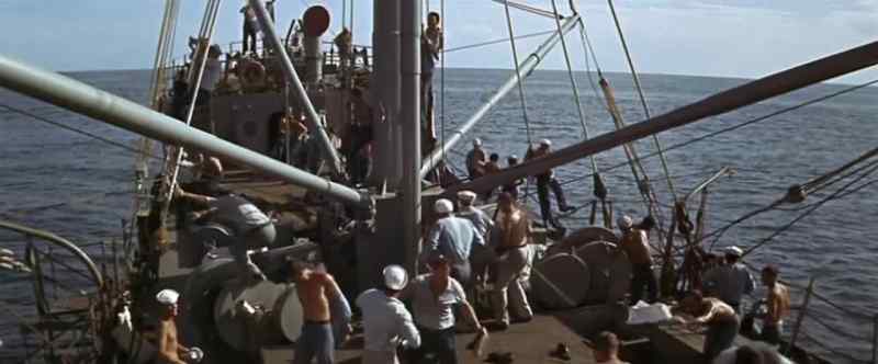 Wearing shirts is not mandatory on deck