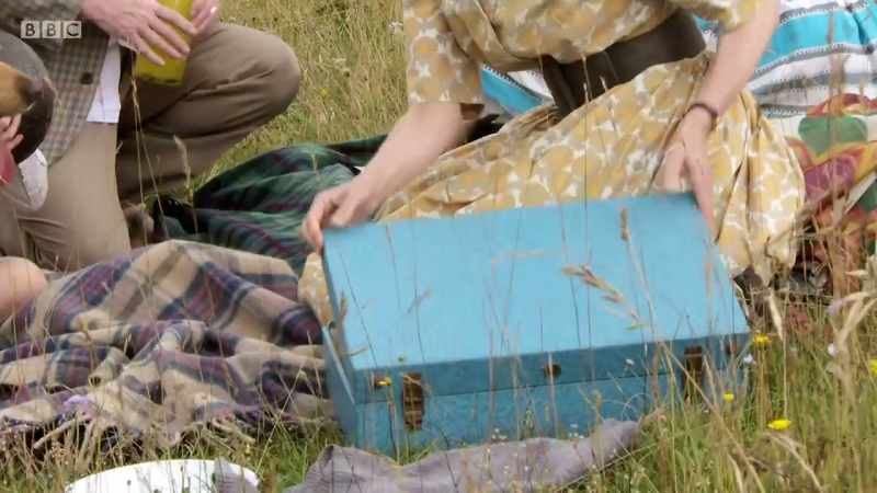 'We'd learnt, throughout the experiment