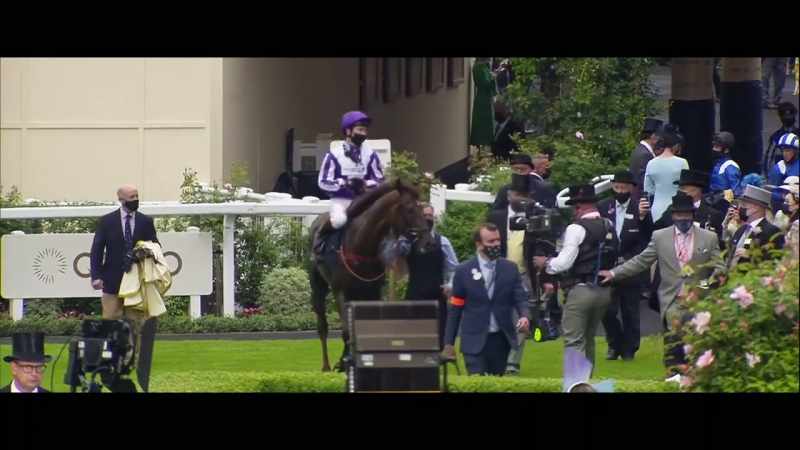 Welcome back into the winners' enclosure and another one this week