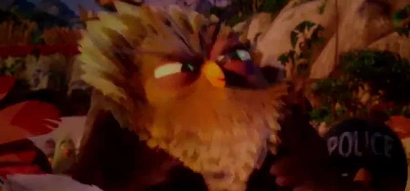Welcome to Bird Island