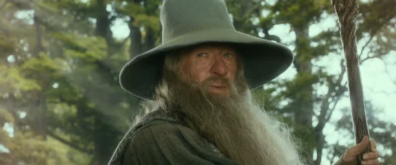Welcome Master Bagginsto the company of Thorin Oakenshield