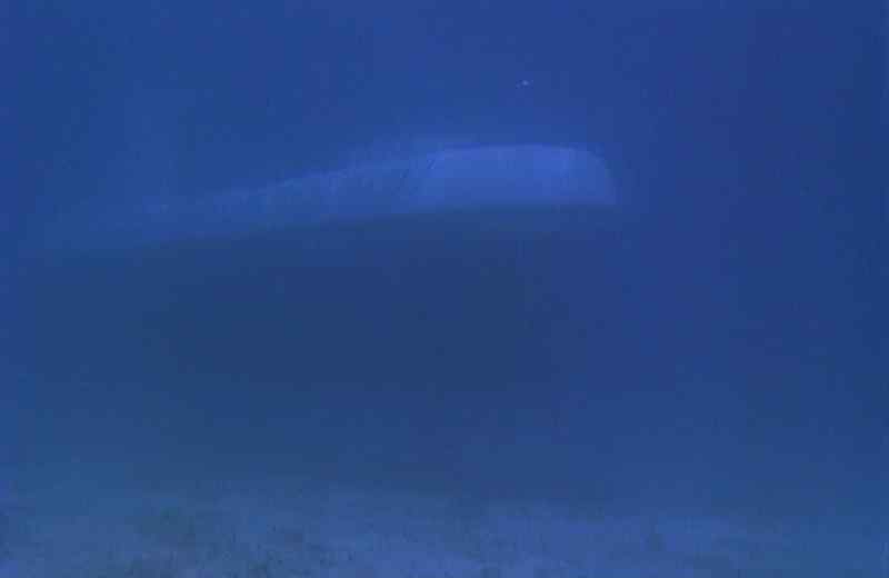 Welcome to our Atlantis submarine tour